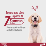 7891106005722---foto-3