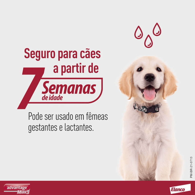 7891106911269-foto---5-