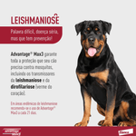7891106005715-foto--2-