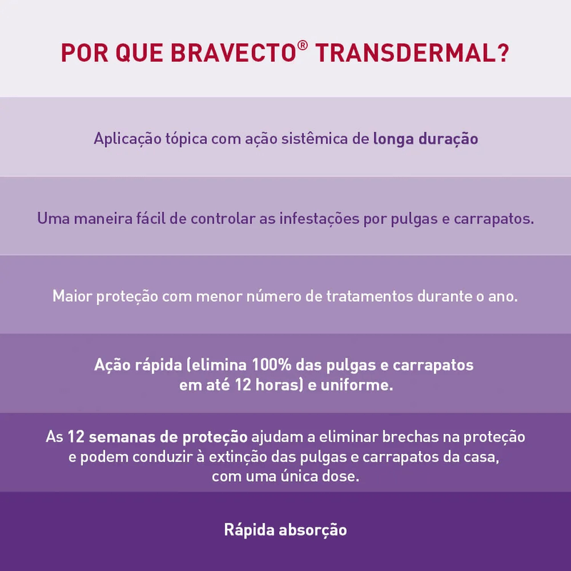 8713184186355---foto-5