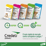5420036979548---foto-1--4-