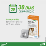 5420036979531---foto-2