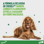 5420036979531-foto-1--5-