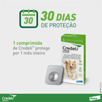 5420036979524---foto-2