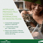 5420036978923---foto-2