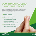 5420036978923---foto-5