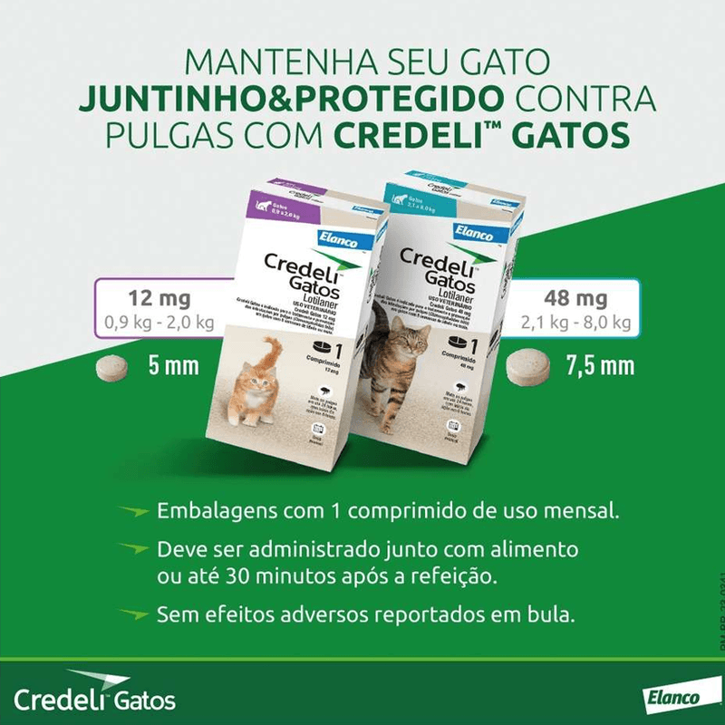 Sem-Titulo-1