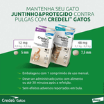 5420036978916---foto---2-