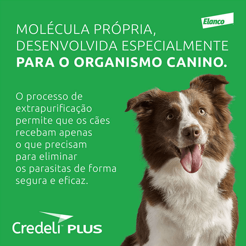 5420036976912---foto-4