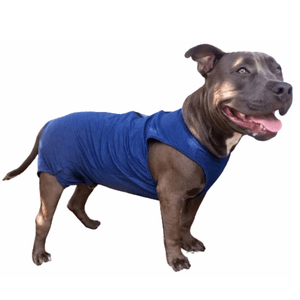 Roupa Cães pós Cirúrgica Suplex Macho Nº01
