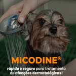 7898393750427---foto-3