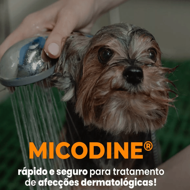 7898393750427---foto-3