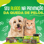 7898549750721---foto-4
