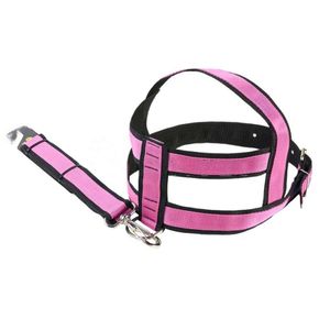 Guia e Peitoral Ultra Preto/Rosa G