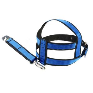 Guia e Peitoral Ultra Preto/Azul G