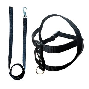 Guia e Peitoral Nylon Nº01 Preto