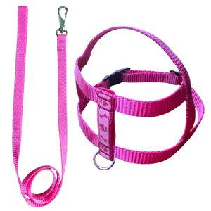 Guia e Peitoral Nylon Nº02 Rosa