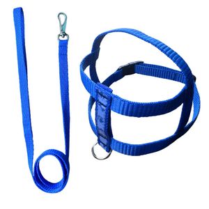 Guia e Peitoral Nylon Nº02 Azul