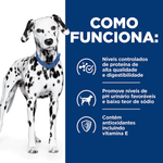 52742701608---foto-6
