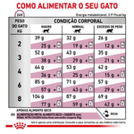 7908248302036---foto-3