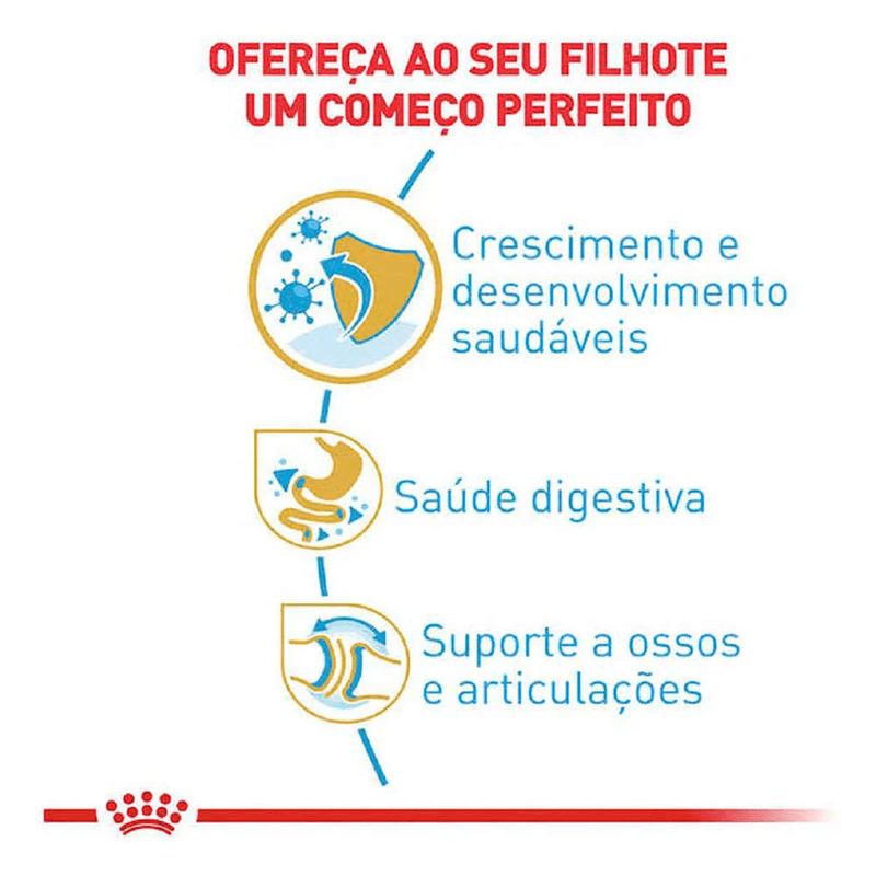 7908248302258---foto-2