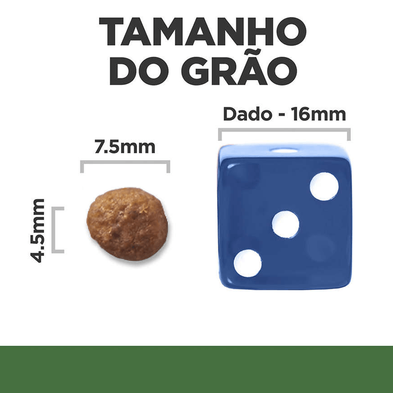 052742026602---foto-5