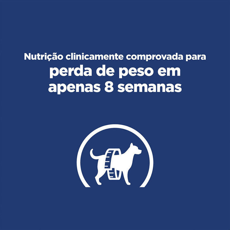 052742026602---foto-8