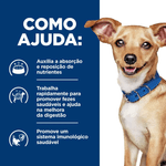 052742026824---foto-4