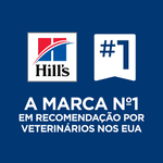 052742026824---foto-7