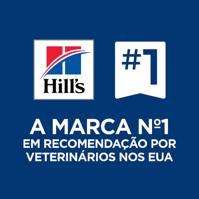 052742026824---foto-7