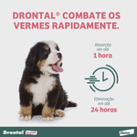 4007221055259---foto-4