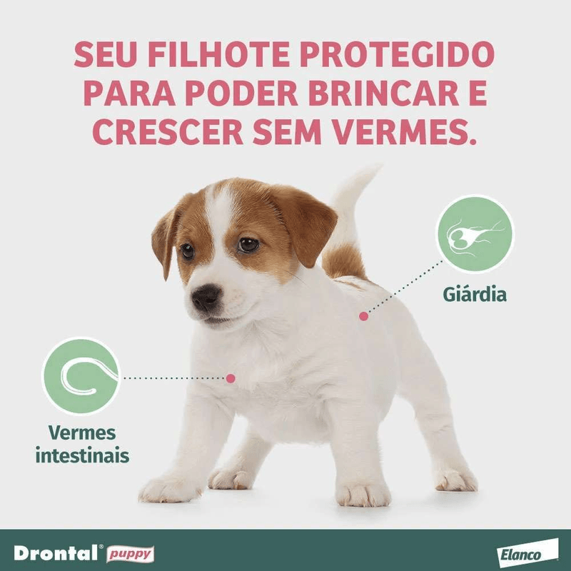 4007221055259---foto-5