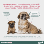 4007221055259---foto-6