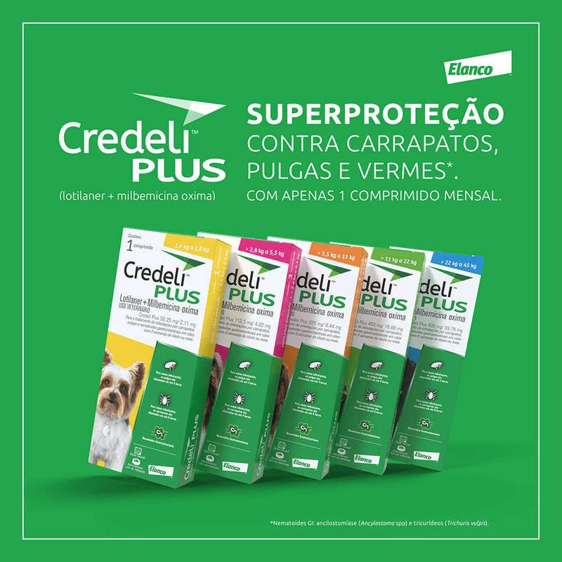5420036976936---foto-8