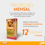 5420036977131---foto-5
