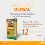 5420036977117---foto-2