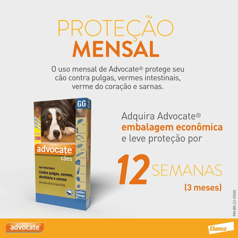 5420036977148---foto-2