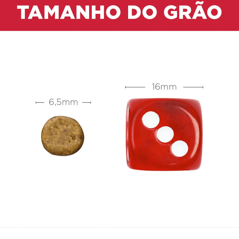 52742006444---foto-4