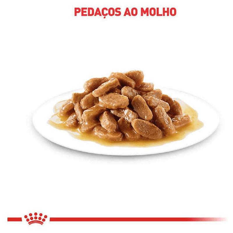 7908248301985---foto-2