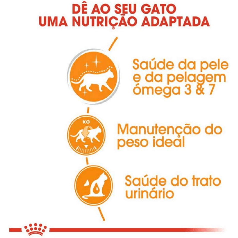 7908248301985---foto-3