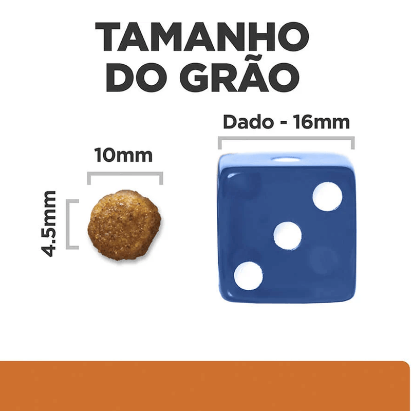 52742022161---foto-5