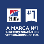 52742869605---foto-9