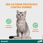 5420036978008---foto-3