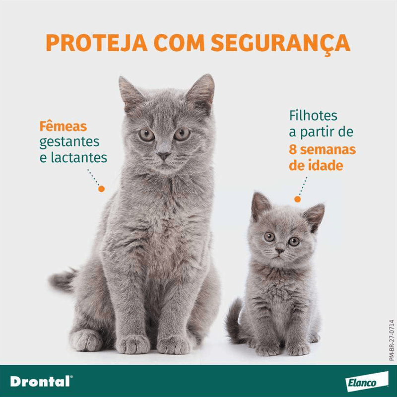 5420036978008---foto-5