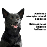 7898104093522---foto-2