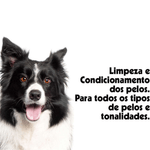 7898104092419---foto-3