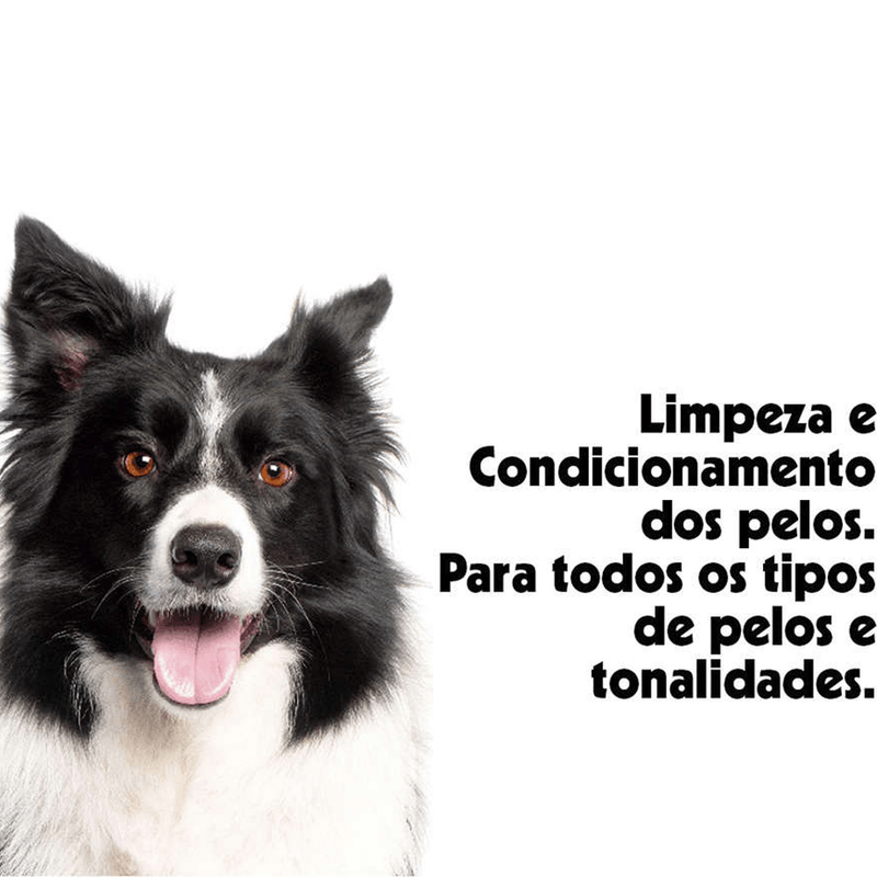 7898104092419---foto-3