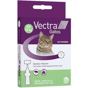 Vectra Gatos