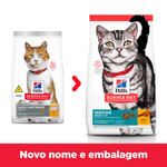 52742887906---foto-3