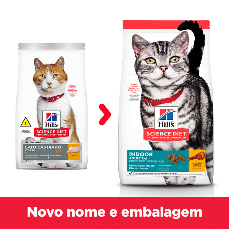 52742887906---foto-3